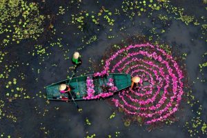 Ninh Binh Mua Hoa Sung