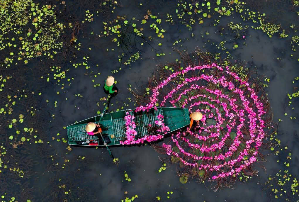 Ninh Binh Mua Hoa Sung