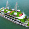 Halong Apollo Cruise 5 Star
